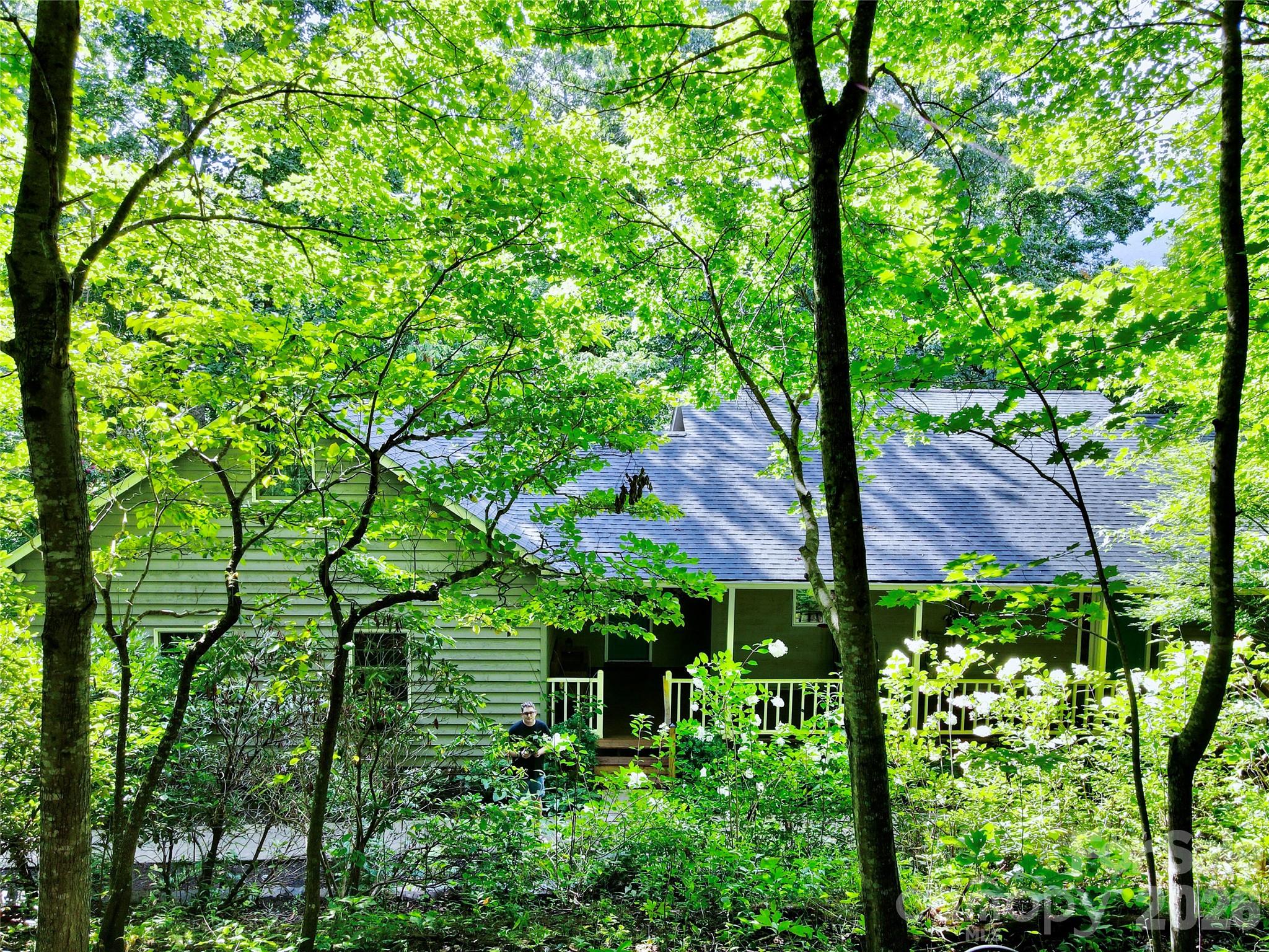 38 Sutton Knob Road Candler NC 28715