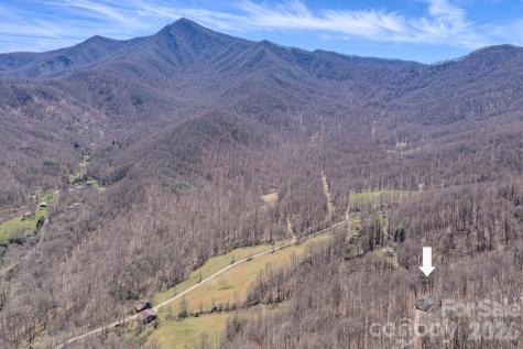 38 Sutton Knob Road Candler NC 28715