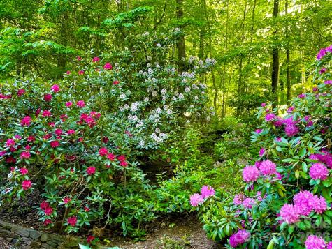38 Sutton Knob Road Candler NC 28715