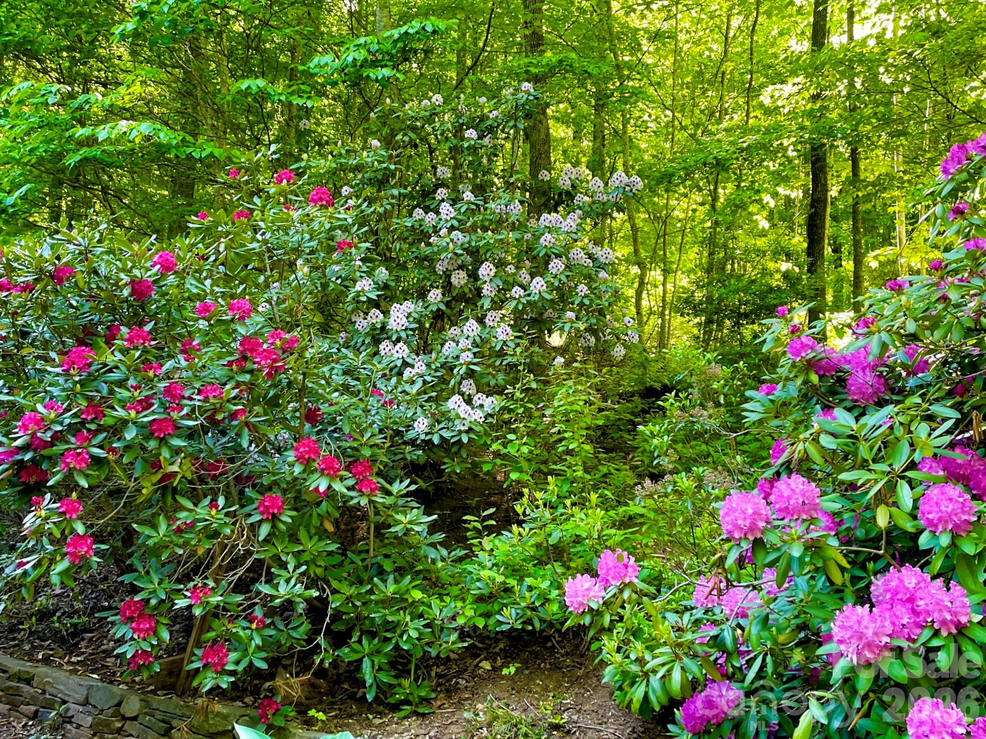 38 Sutton Knob Road Candler NC 28715