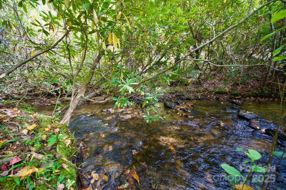 5580 Greenville Highway Brevard NC 28712