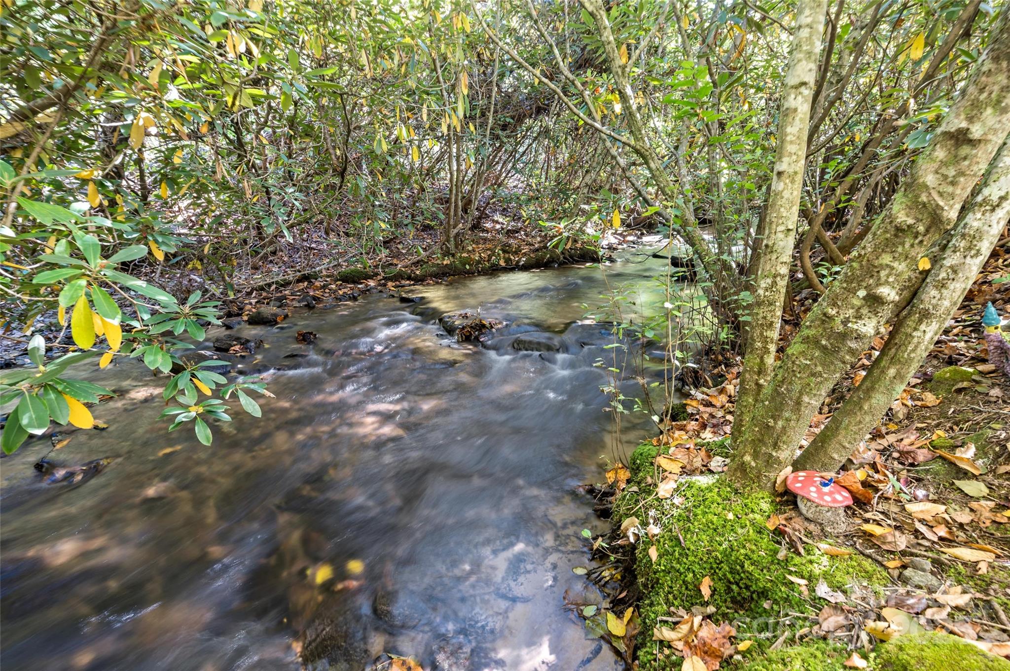 5580 Greenville Highway Brevard NC 28712