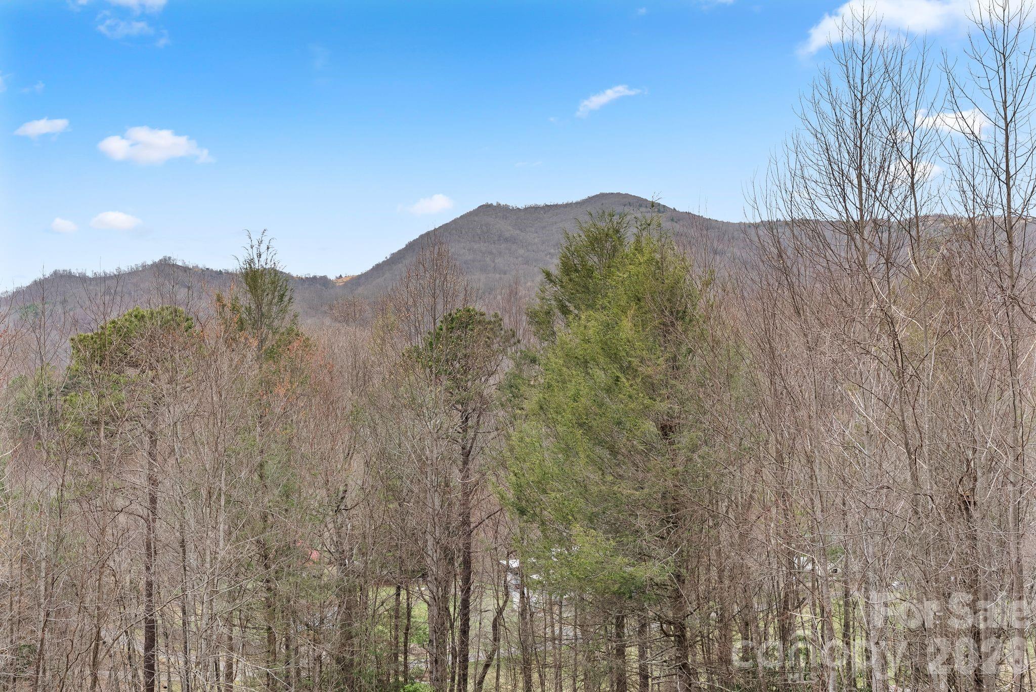 264 Moonbeam Lane Clyde NC 28721
