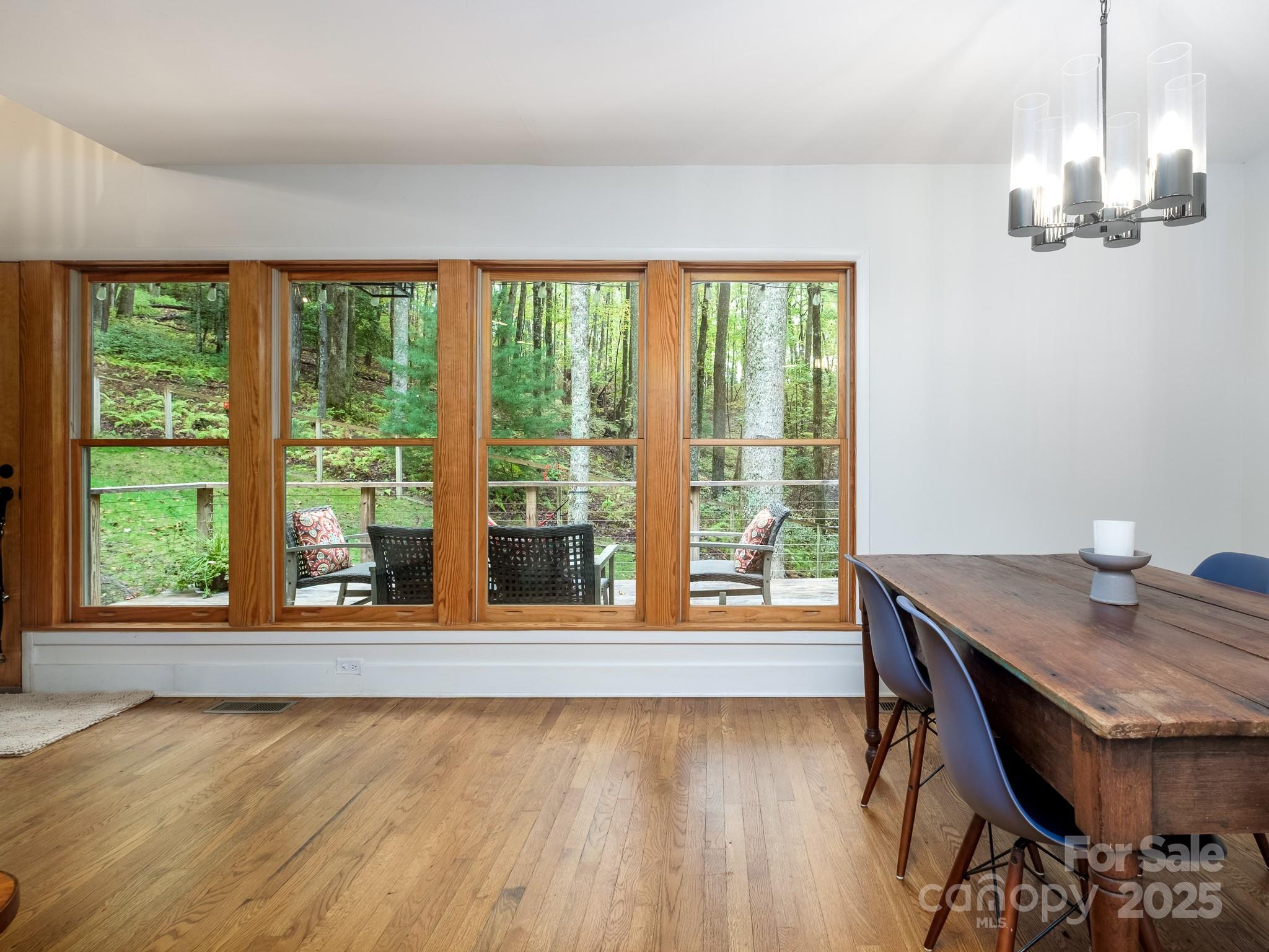 77 Selu Court Brevard NC 28712