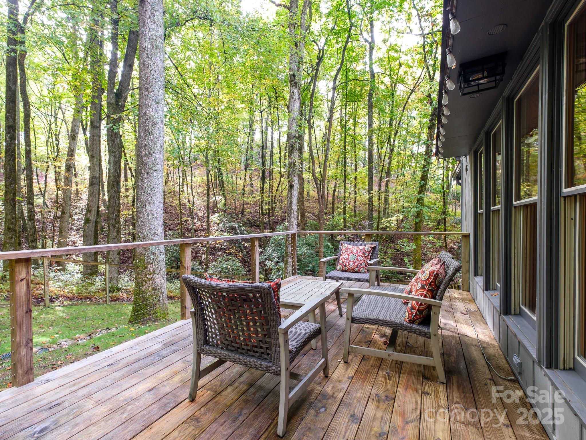 77 Selu Court Brevard NC 28712