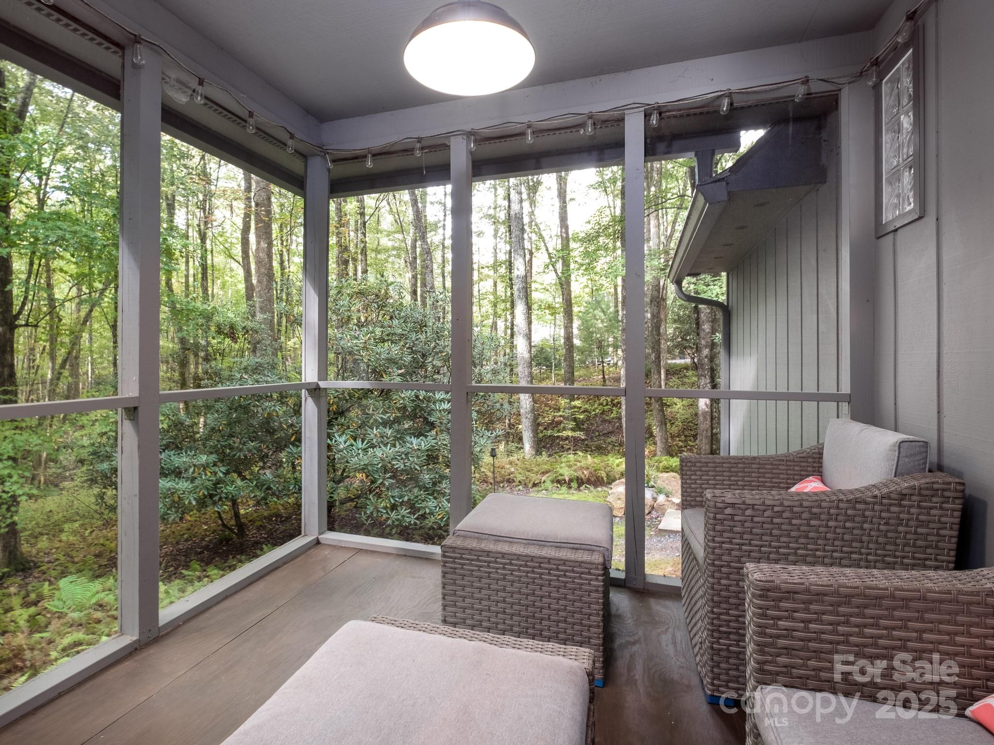 77 Selu Court Brevard NC 28712