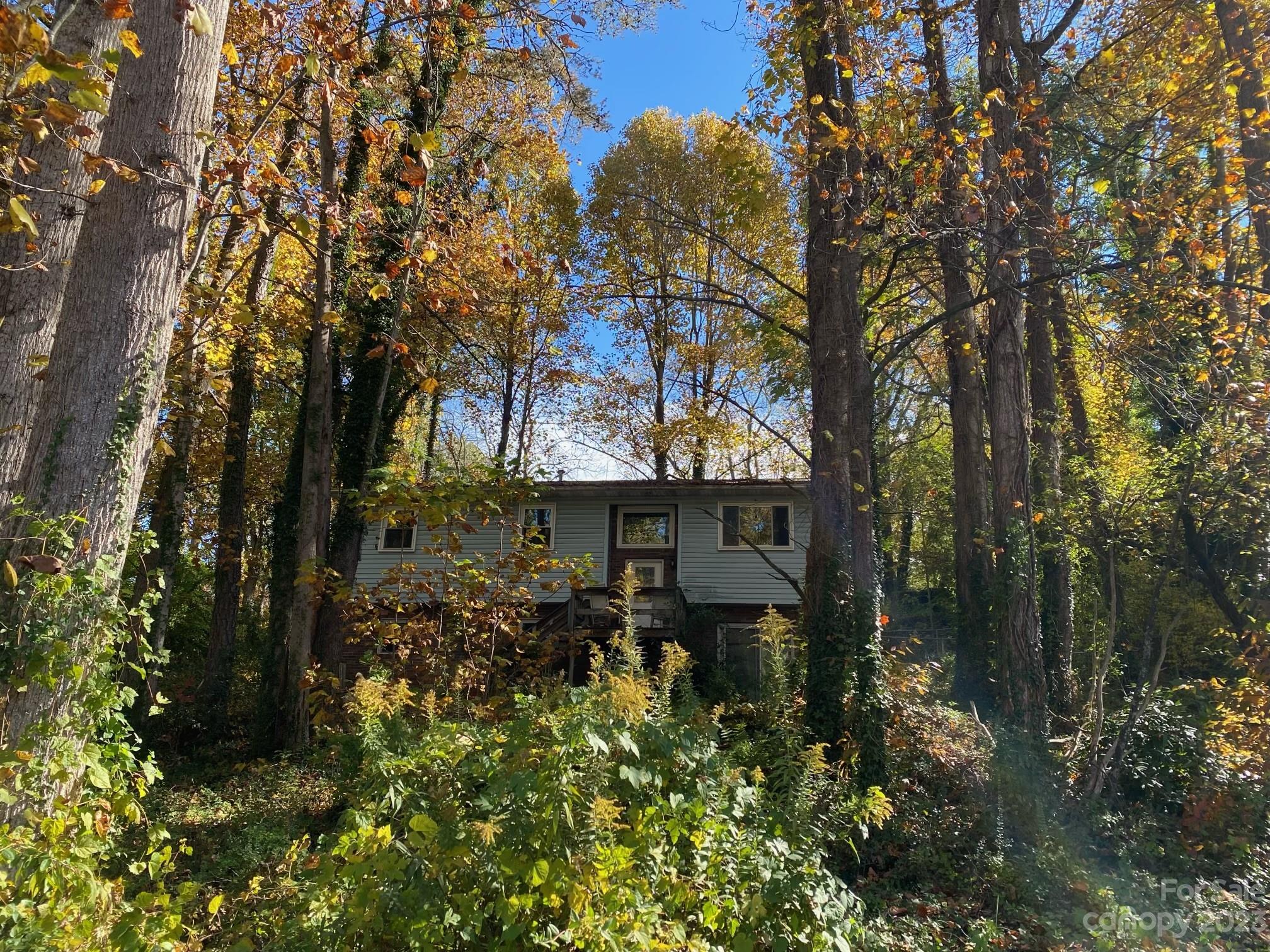 27 Florida Avenue Asheville NC 28806