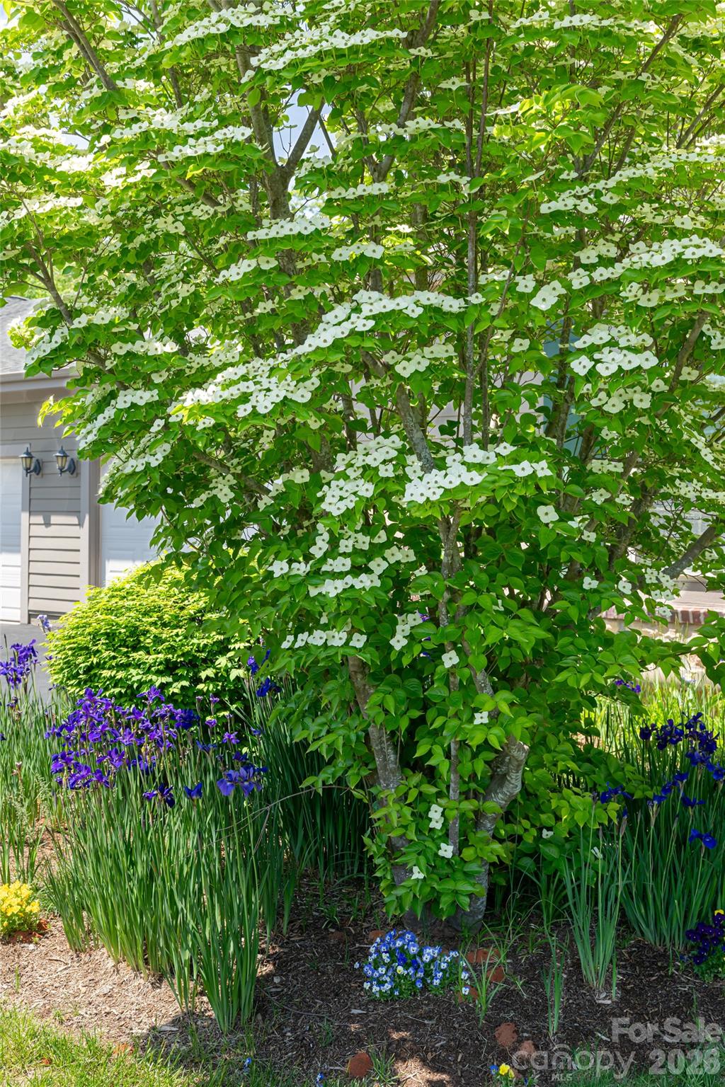 55 Outlook Circle Swannanoa NC 28778