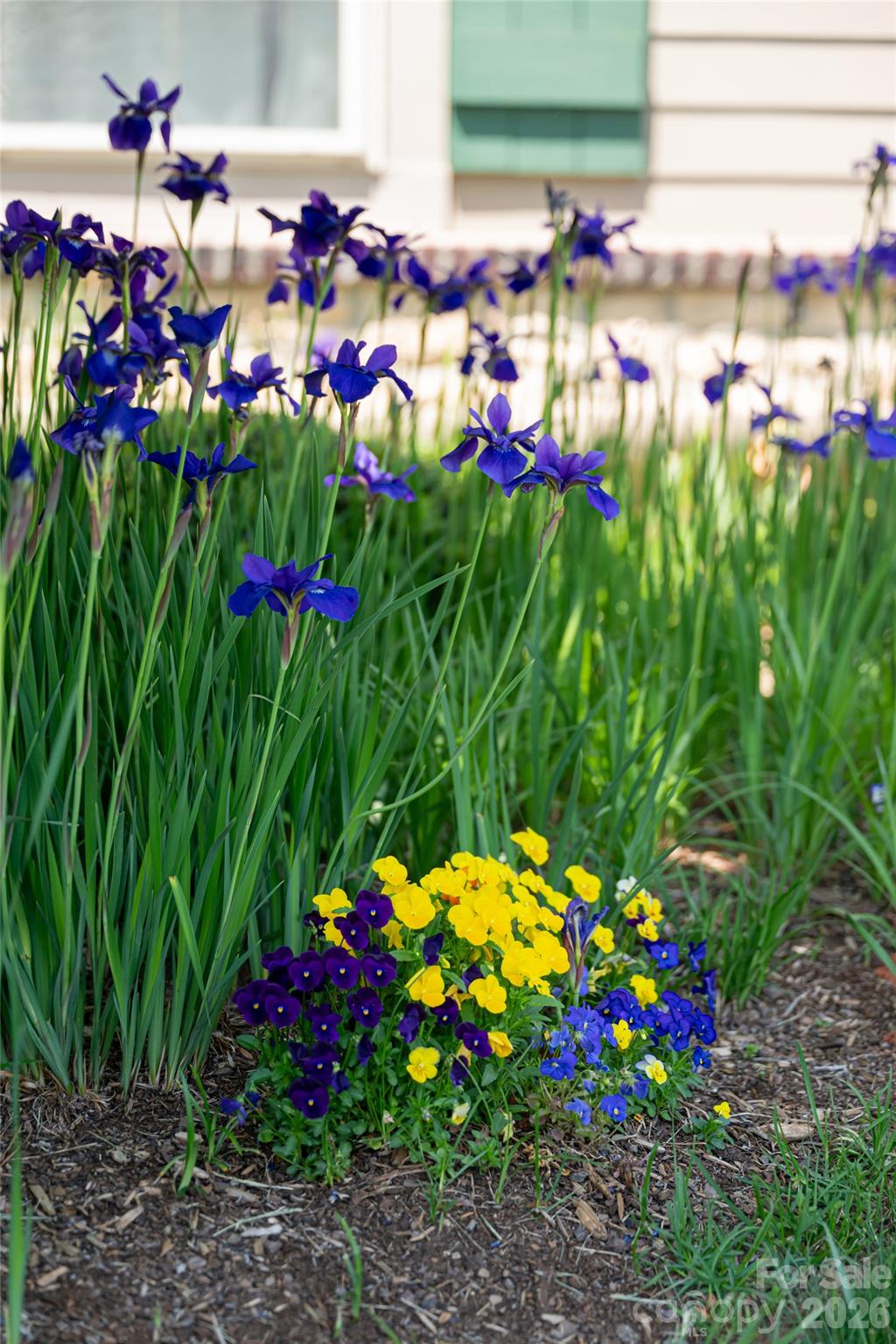 55 Outlook Circle Swannanoa NC 28778