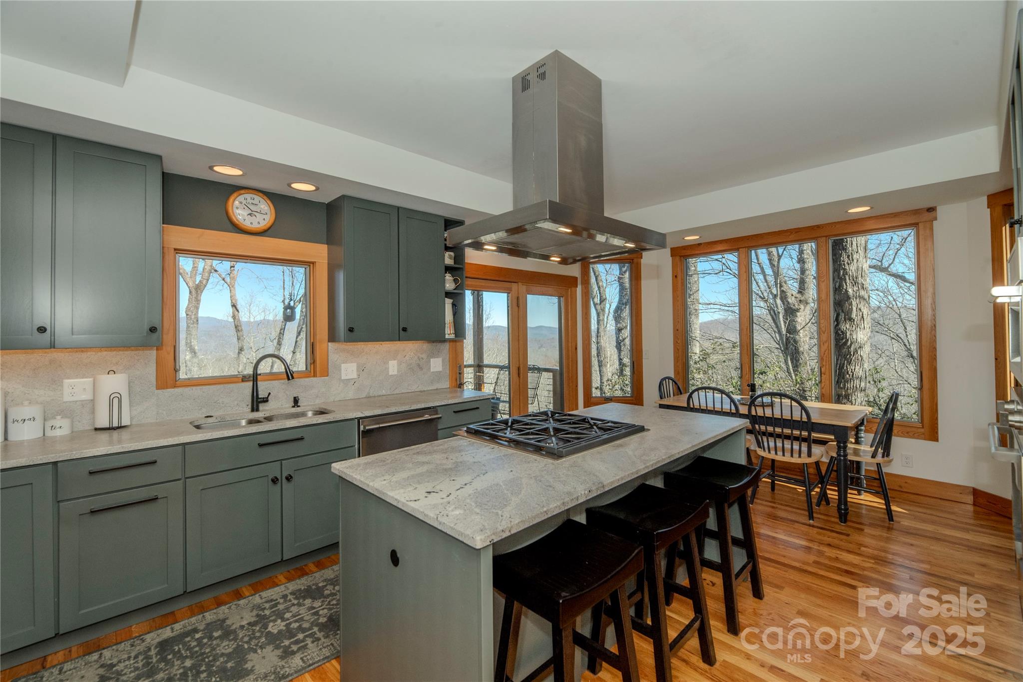 156 & 152 Tarah Lane Pisgah Forest NC 28768