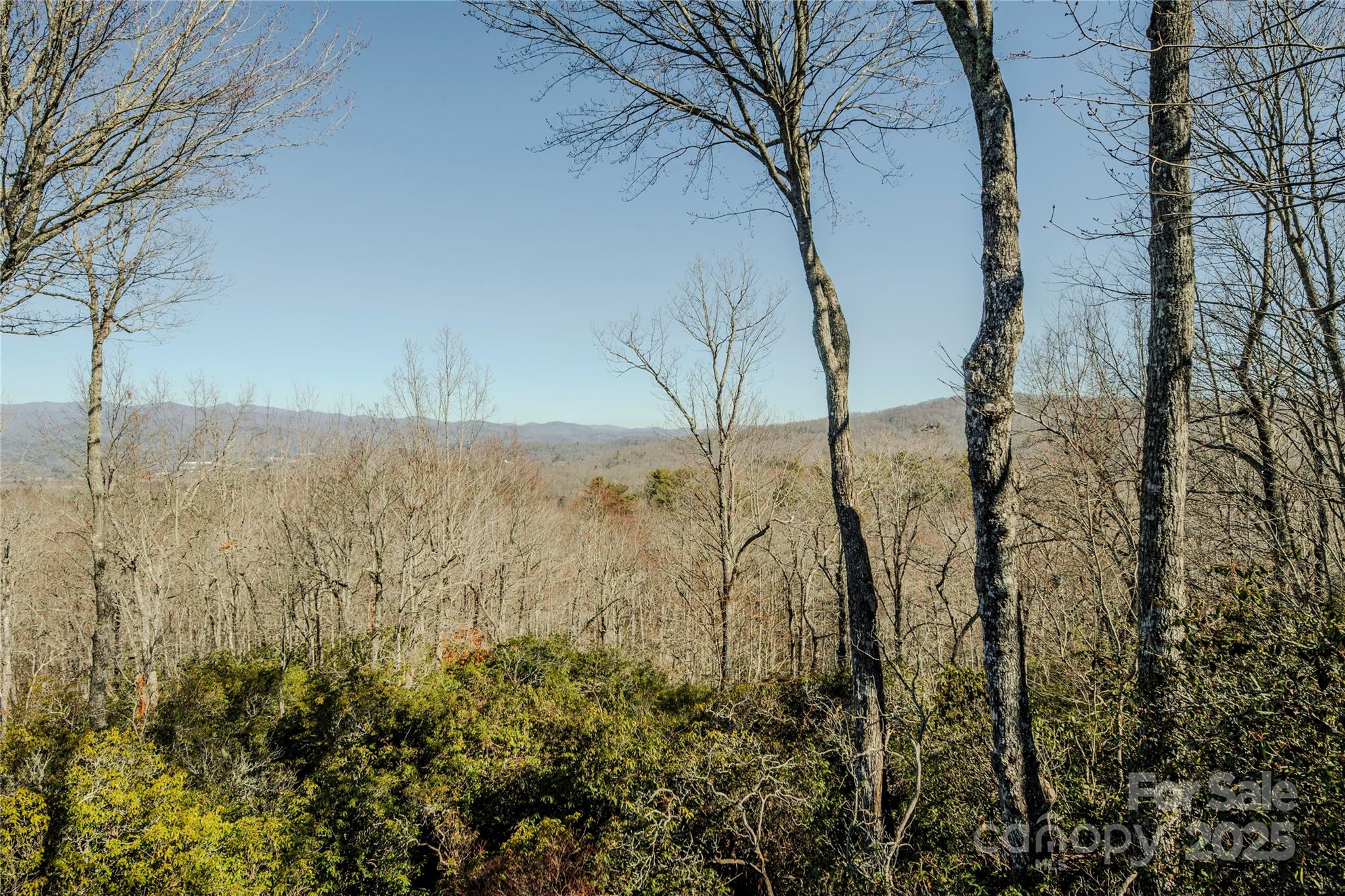 156 & 152 Tarah Lane Pisgah Forest NC 28768