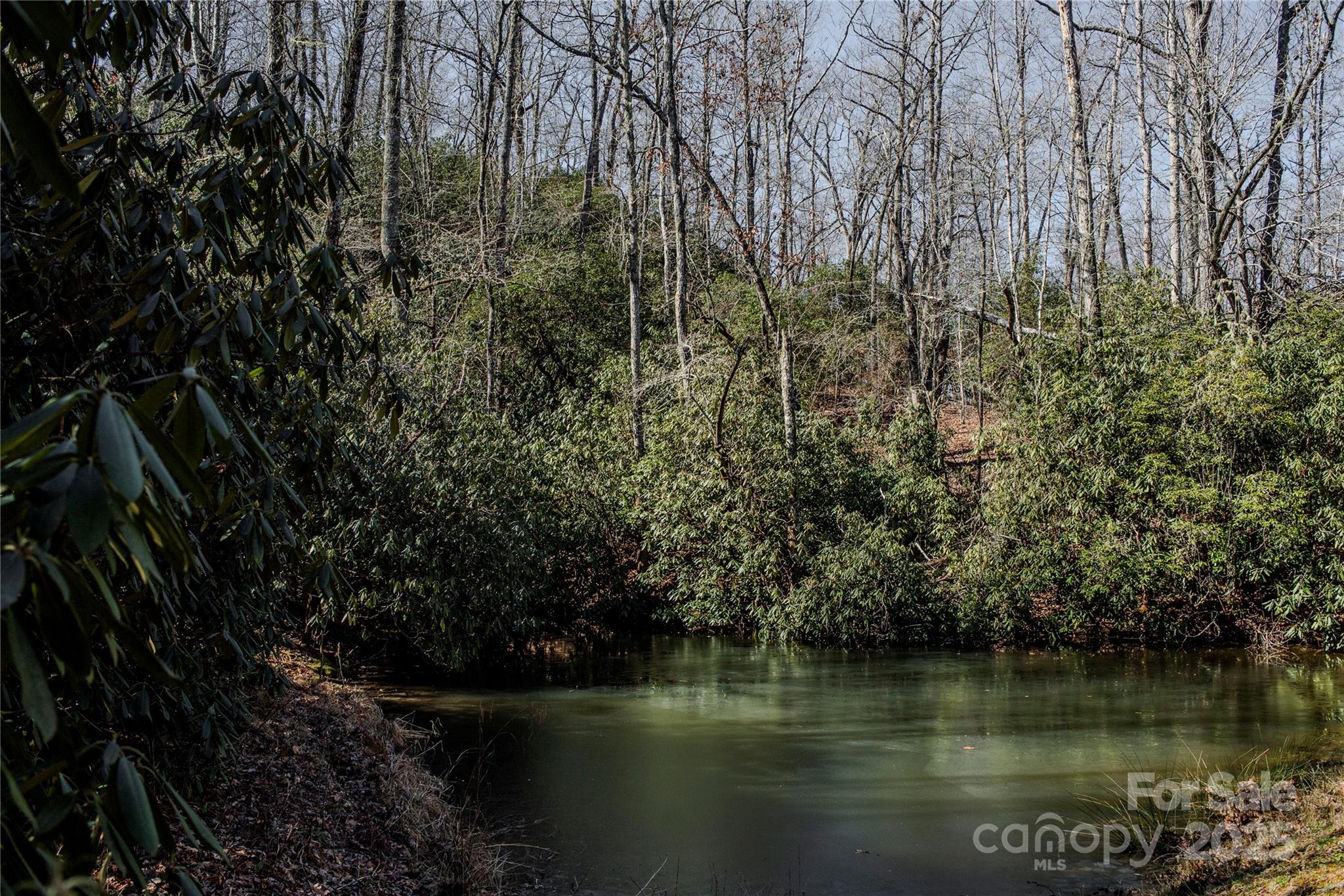 156 & 152 Tarah Lane Pisgah Forest NC 28768