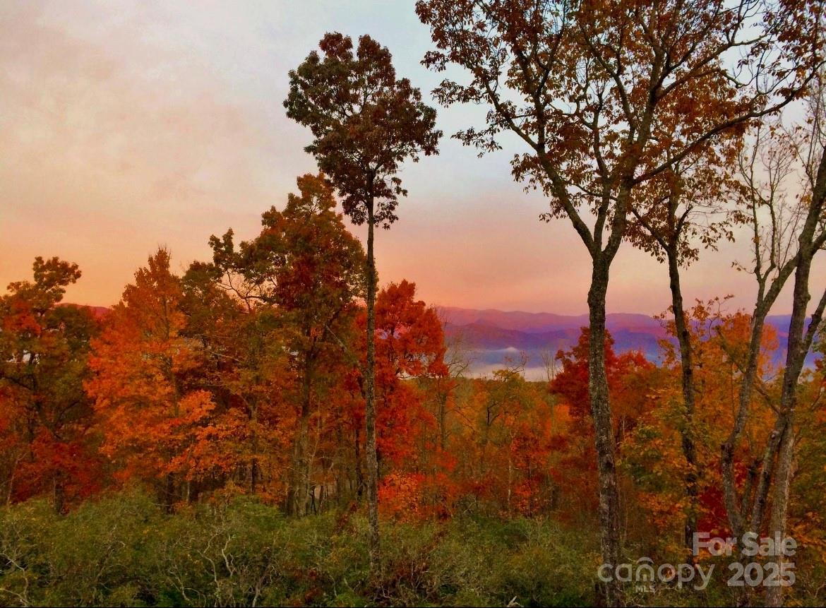 156 & 152 Tarah Lane Pisgah Forest NC 28768