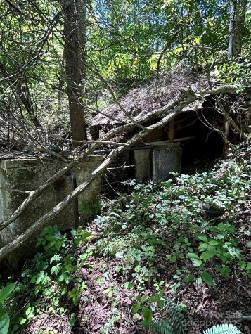 611 Johnson Hollow Road Bakersville NC 28705