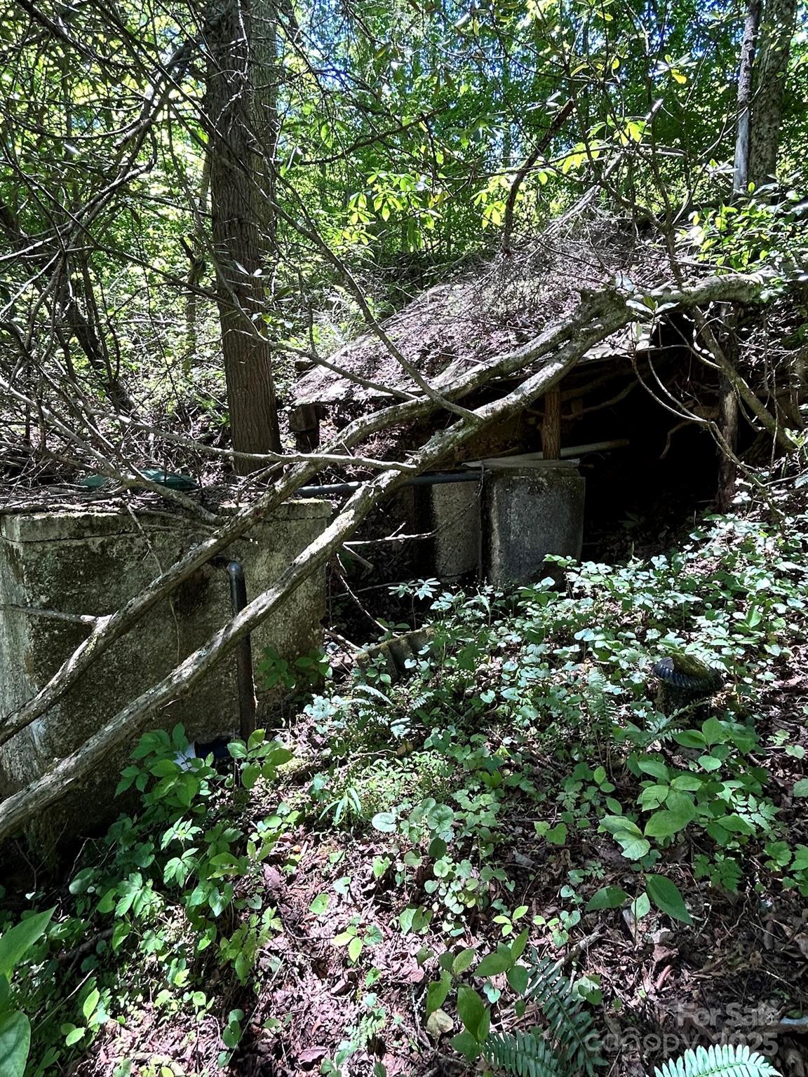 611 Johnson Hollow Road Bakersville NC 28705