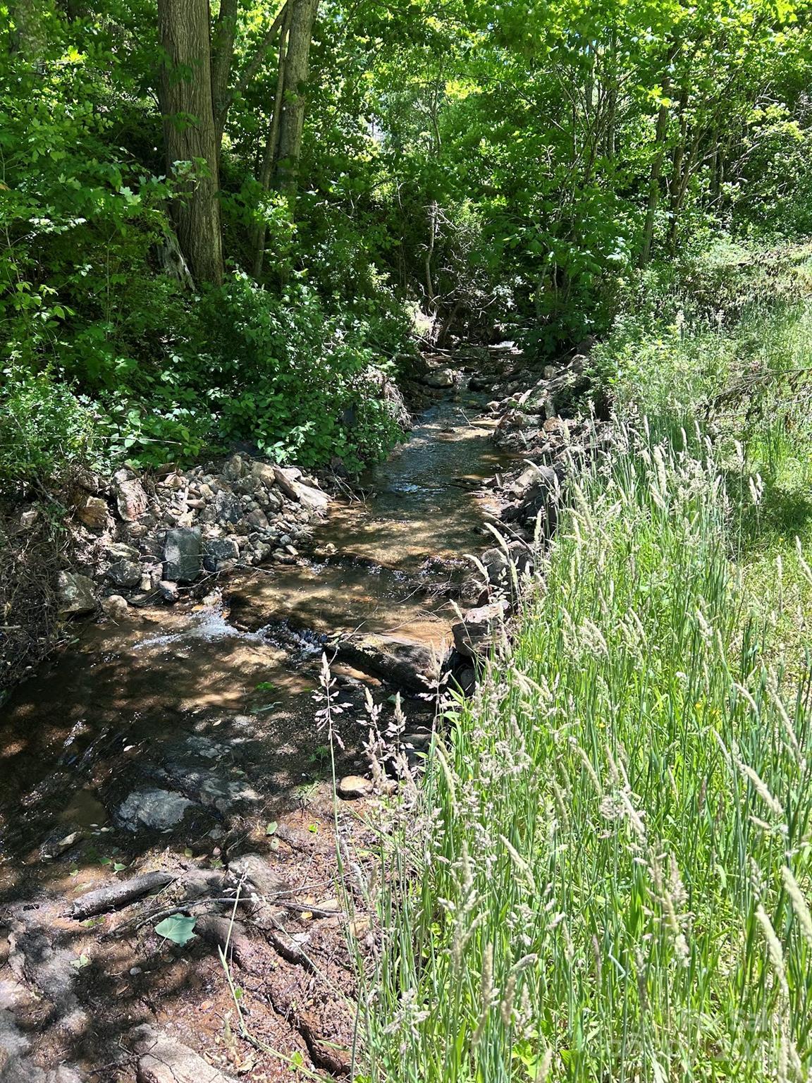 611 Johnson Hollow Road Bakersville NC 28705