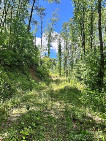 611 Johnson Hollow Road Bakersville NC 28705