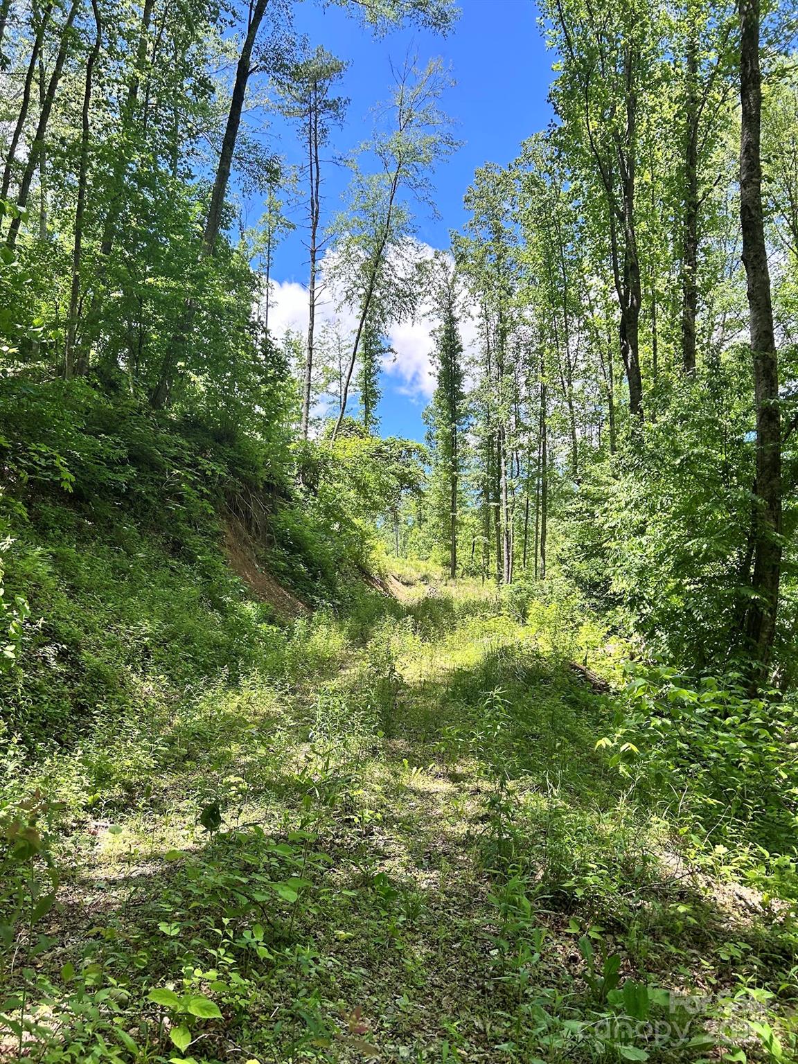 611 Johnson Hollow Road Bakersville NC 28705