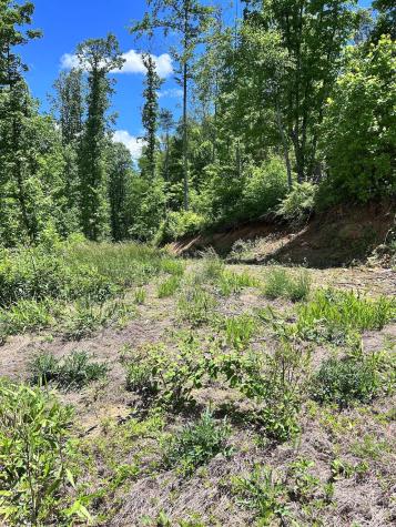 611 Johnson Hollow Road Bakersville NC 28705