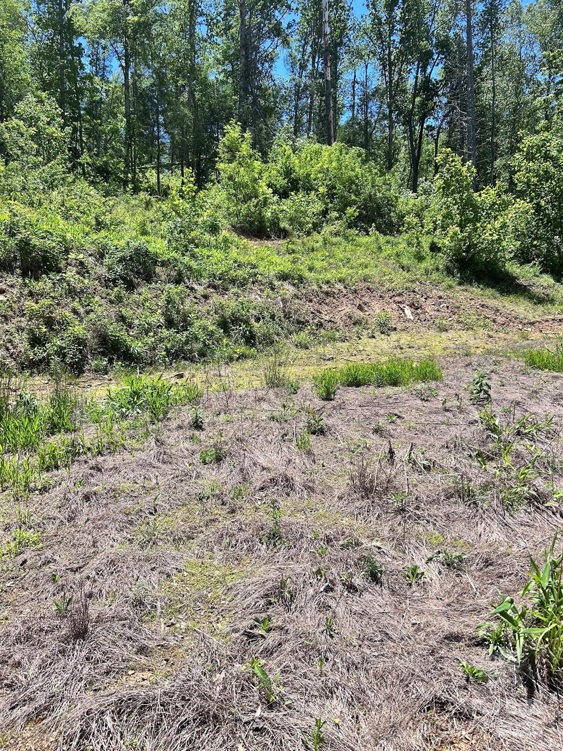 611 Johnson Hollow Road Bakersville NC 28705