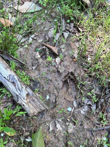 611 Johnson Hollow Road Bakersville NC 28705