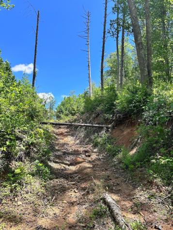 611 Johnson Hollow Road Bakersville NC 28705