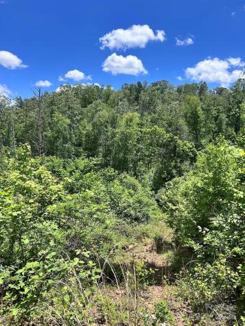 611 Johnson Hollow Road Bakersville NC 28705