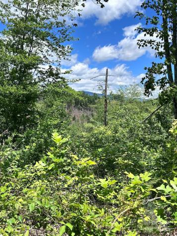 611 Johnson Hollow Road Bakersville NC 28705