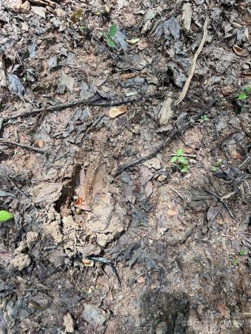 611 Johnson Hollow Road Bakersville NC 28705