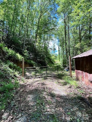 611 Johnson Hollow Road Bakersville NC 28705