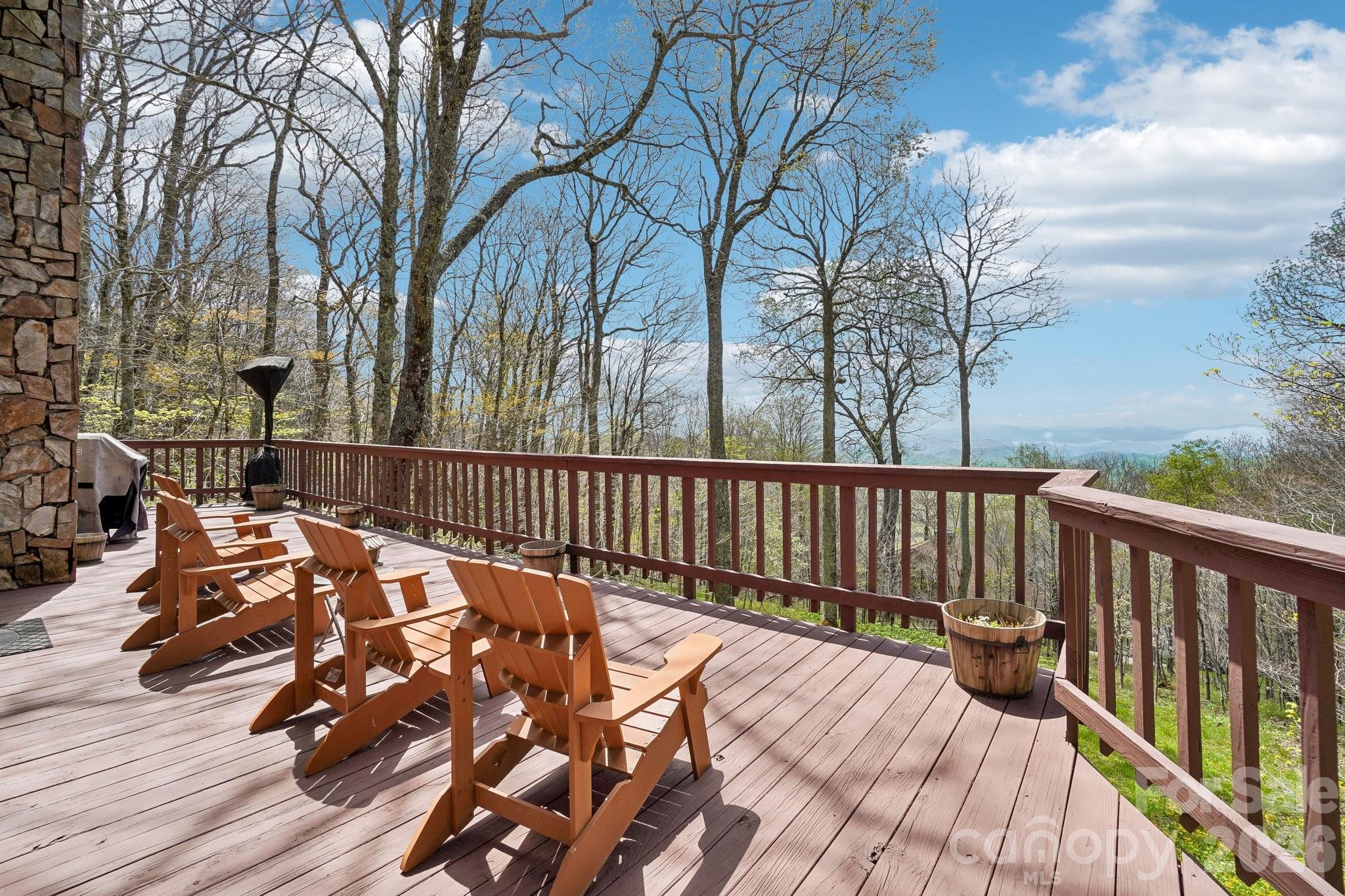 34 Wolfs Head Court Mars Hill NC 28754