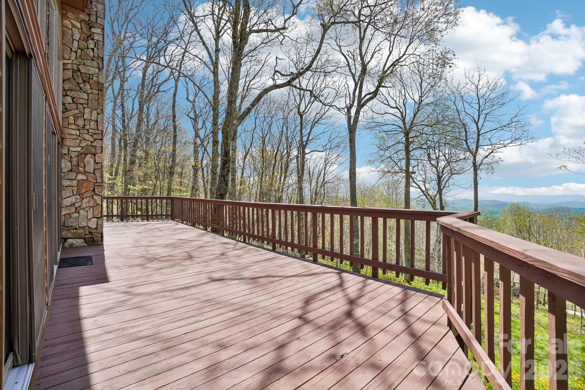34 Wolfs Head Court Mars Hill NC 28754