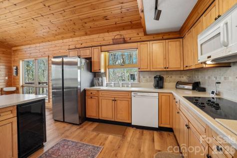 34 Wolfs Head Court Mars Hill NC 28754