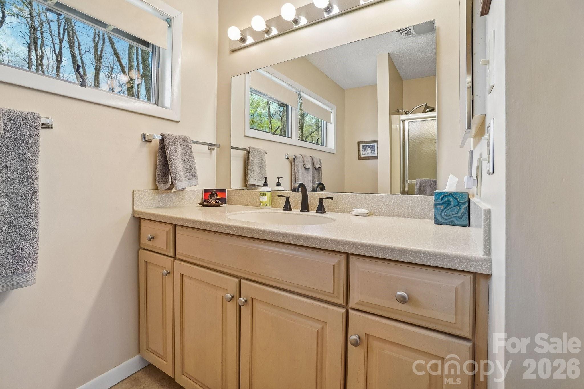 34 Wolfs Head Court Mars Hill NC 28754