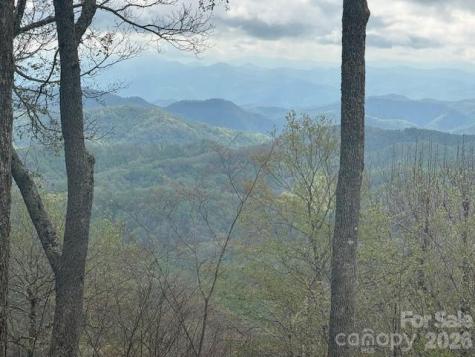 34 Wolfs Head Court Mars Hill NC 28754