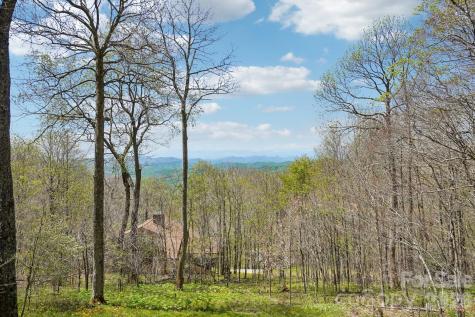 34 Wolfs Head Court Mars Hill NC 28754