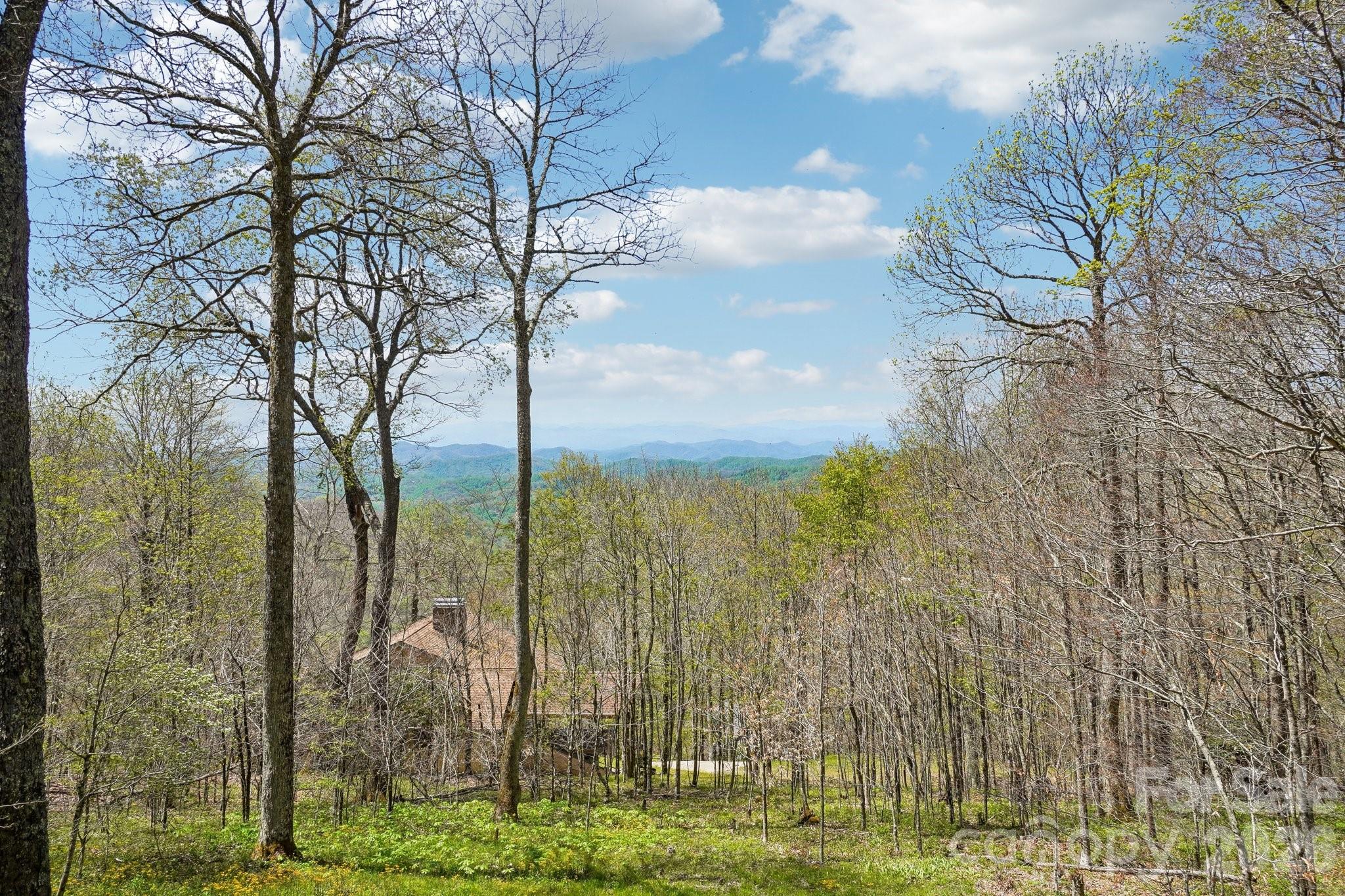 34 Wolfs Head Court Mars Hill NC 28754