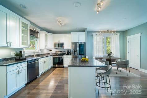 21 Bryant Street Asheville NC 28806