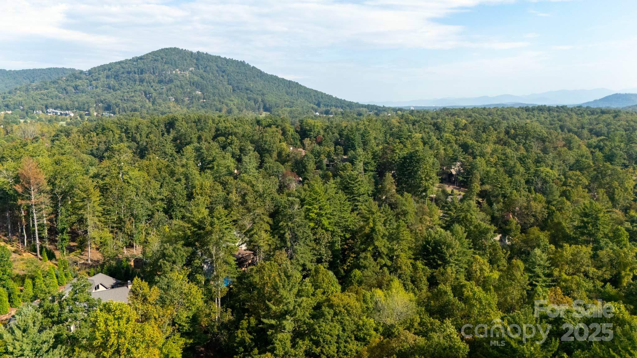 23 Dividing Ridge Trail Arden NC 28704