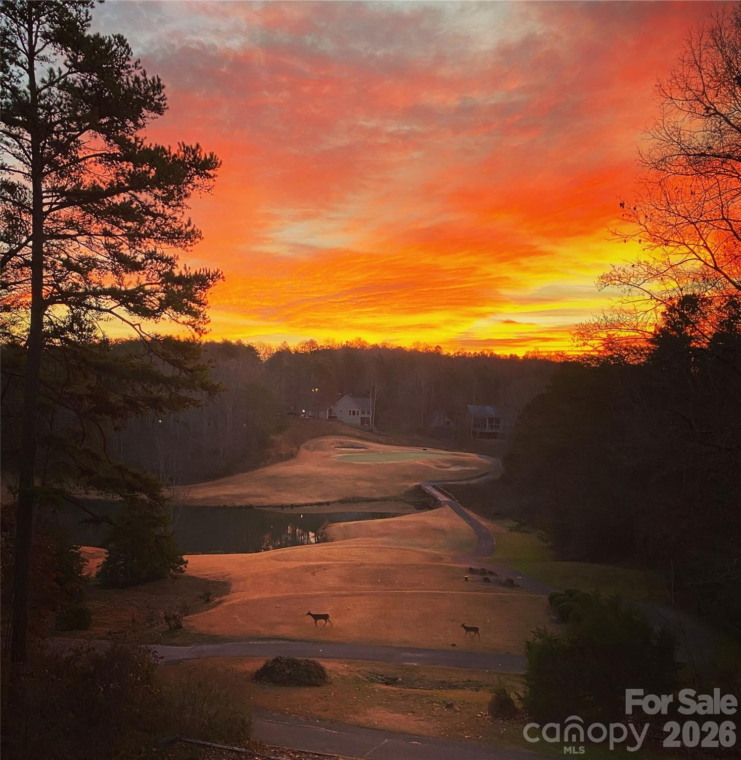 172 Summer Morning Court Lake Lure NC 28746