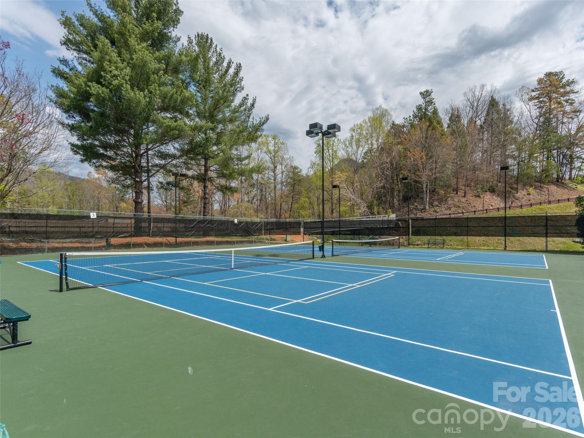 172 Summer Morning Court Lake Lure NC 28746