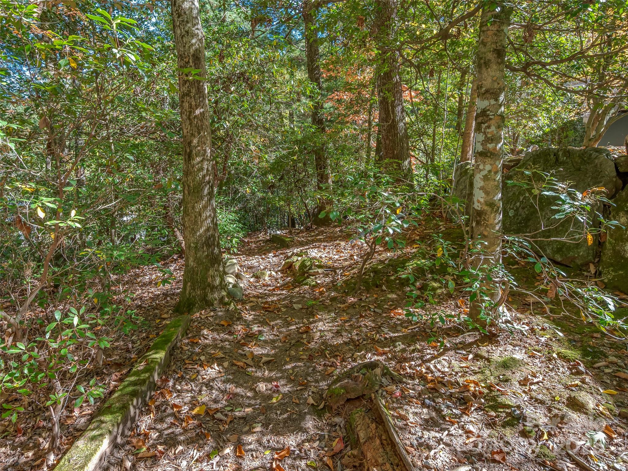 89 Memory Lane Saluda NC 28773