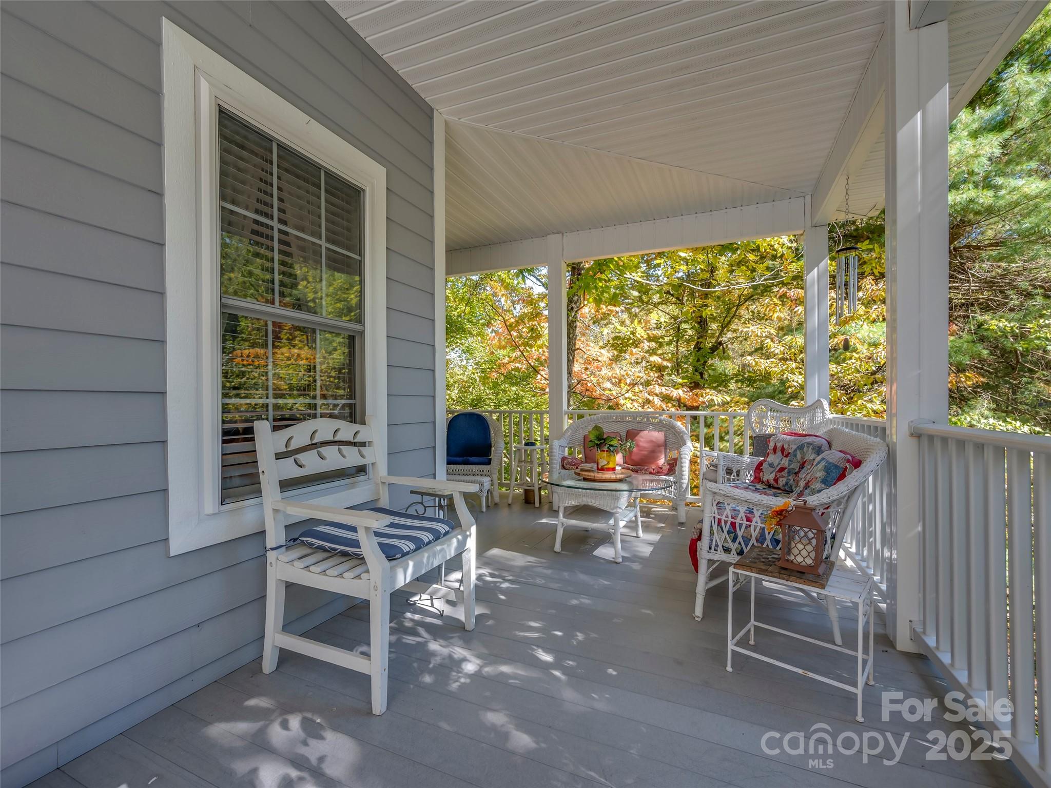 89 Memory Lane Saluda NC 28773