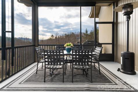 22 Snap Dragon Court Asheville NC 28804