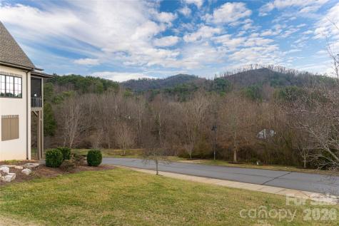 22 Snap Dragon Court Asheville NC 28804