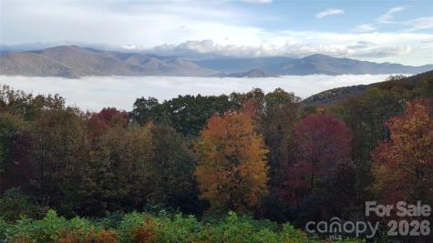 126 Wildflower Cove Drive Swannanoa NC 28778
