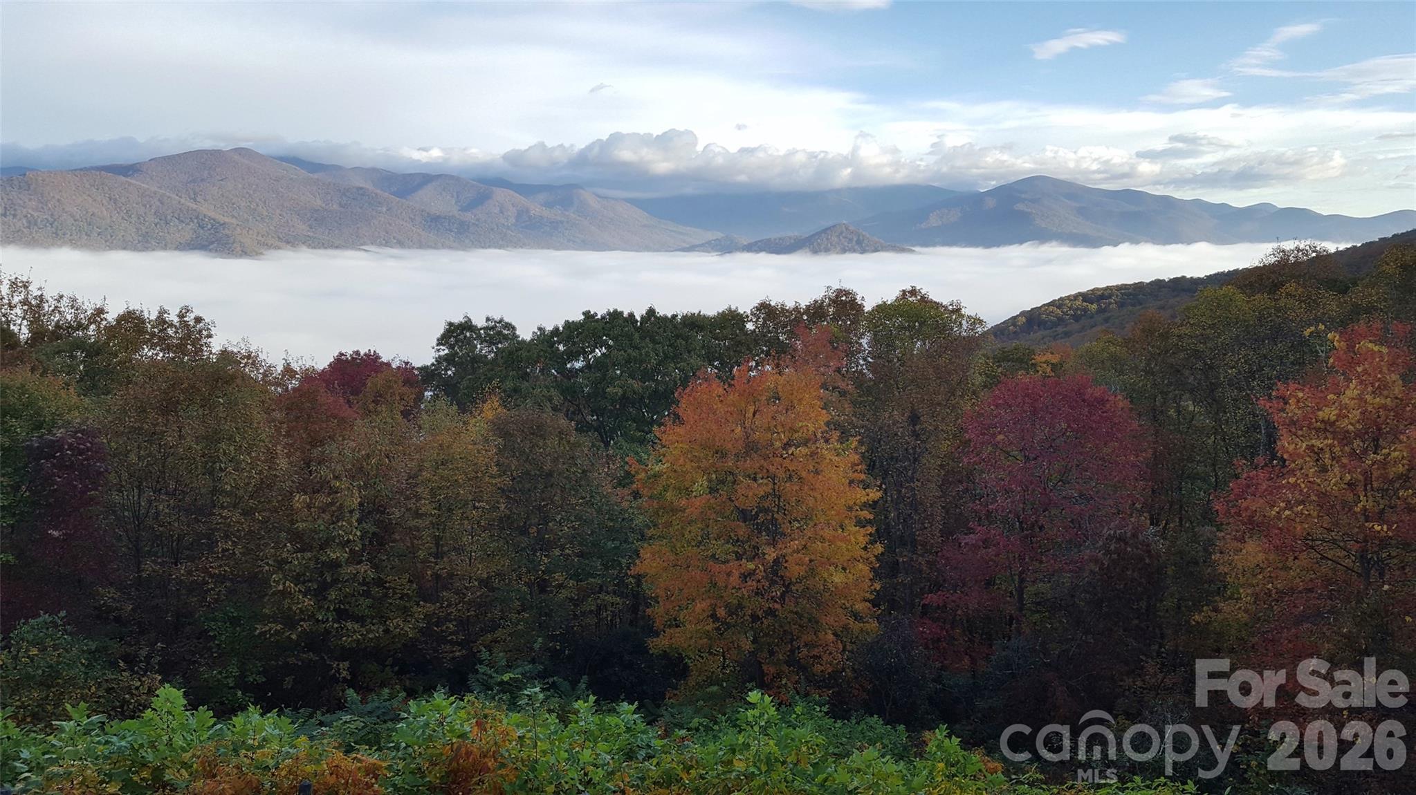 126 Wildflower Cove Drive Swannanoa NC 28778