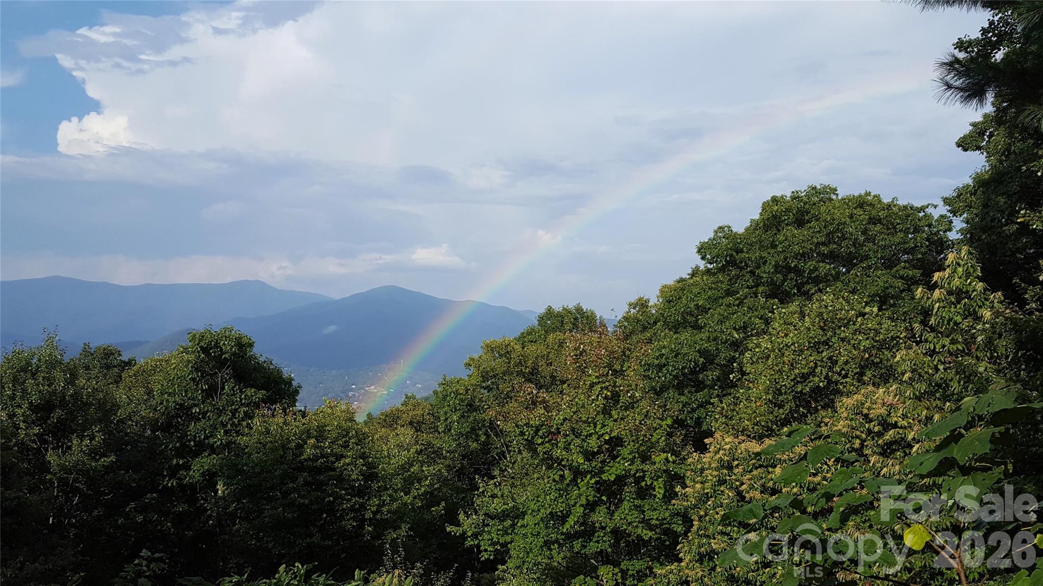 126 Wildflower Cove Drive Swannanoa NC 28778