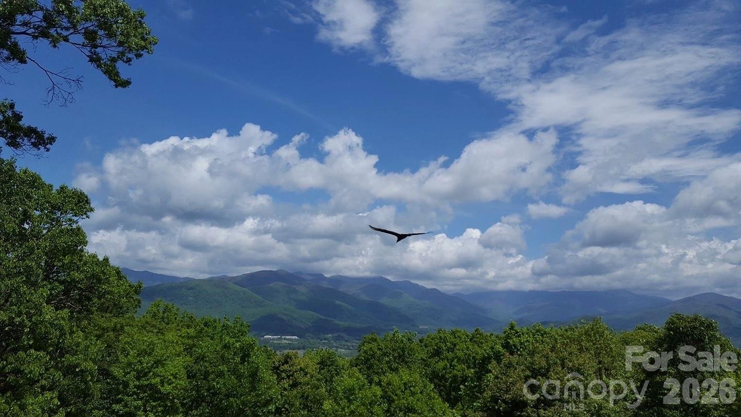 126 Wildflower Cove Drive Swannanoa NC 28778