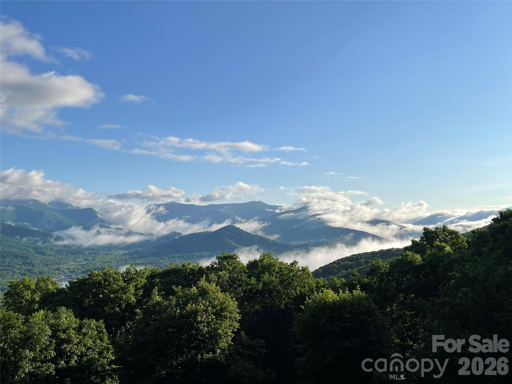126 Wildflower Cove Drive Swannanoa NC 28778